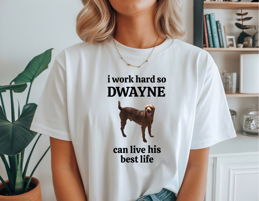 I Work Hard Unisex Softstyle T-Shirt