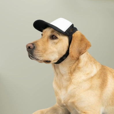 Dog Name Foam Trucker Hat