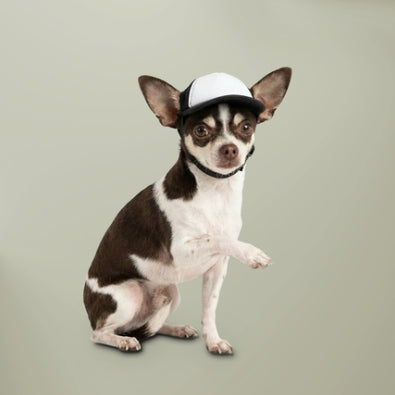 Dog Name Foam Trucker Hat