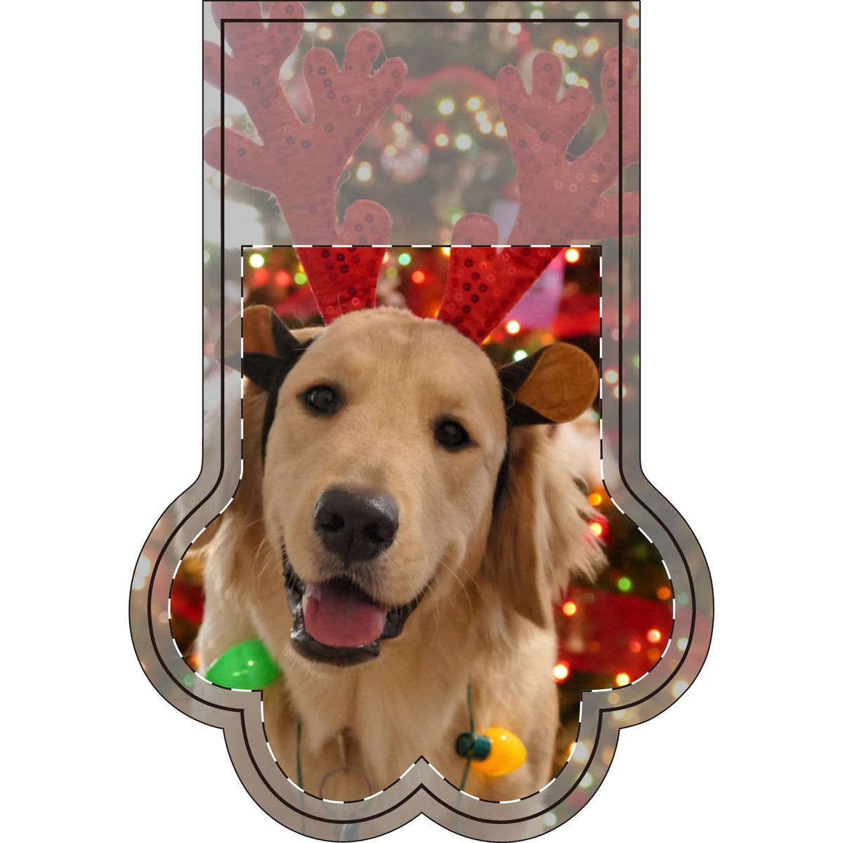 Cusotom Photo Name Stocking (Paw)