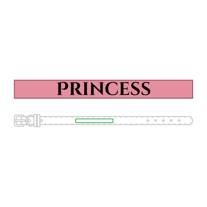 Name Leather Pet Collar (Engraving)