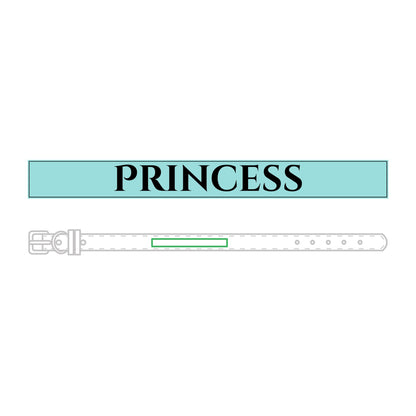 Name Leather Pet Collar (Engraving)