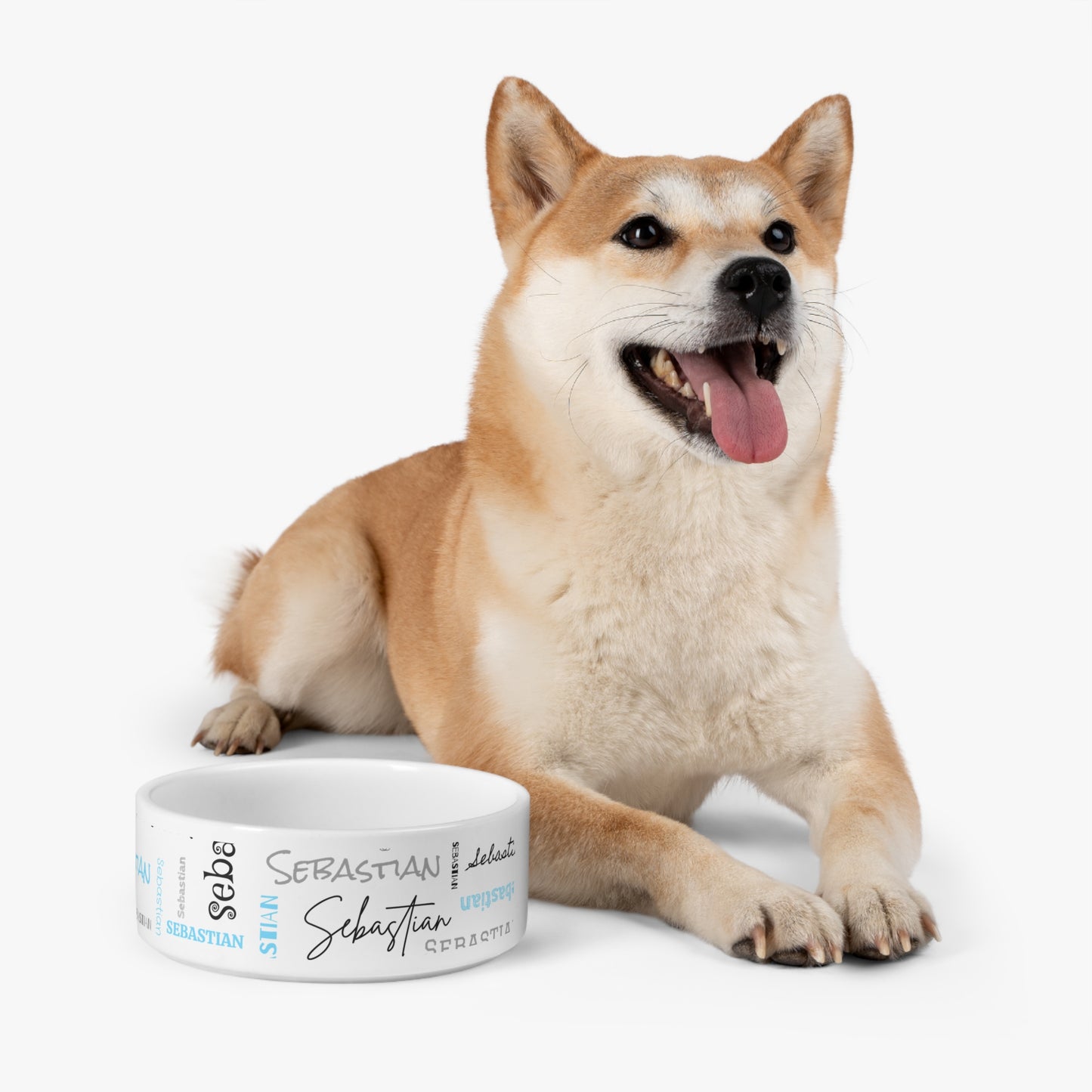 Names Pet Bowl