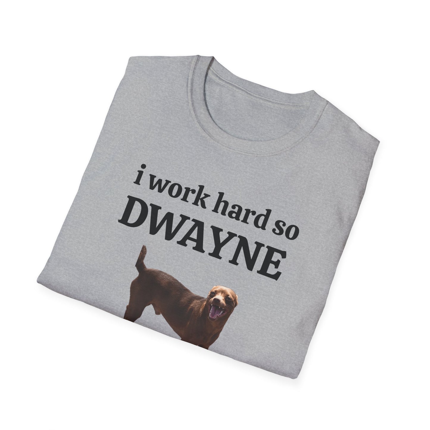 I Work Hard Unisex Softstyle T-Shirt