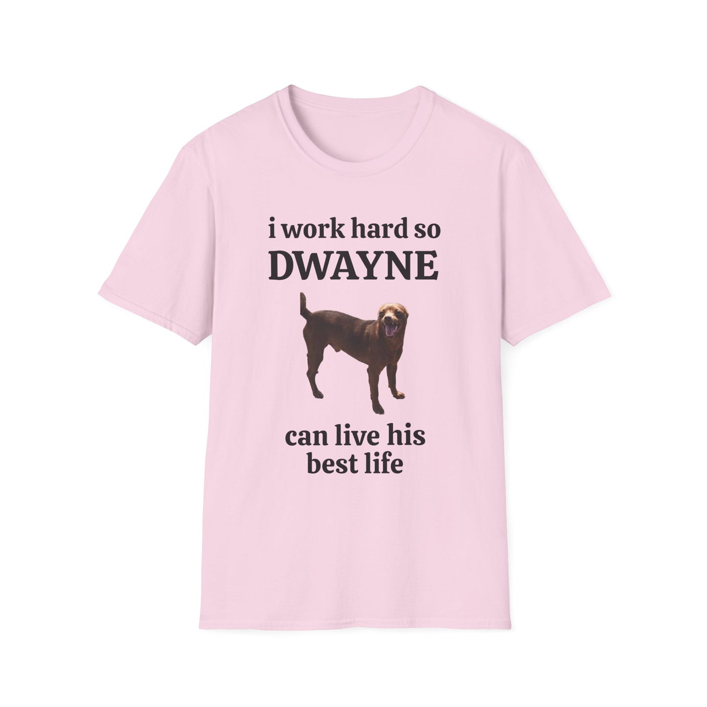 I Work Hard Unisex Softstyle T-Shirt