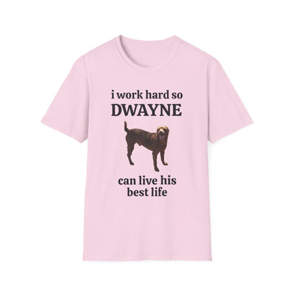 I Work Hard Unisex Softstyle T-Shirt